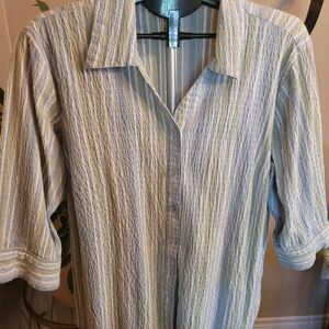 Carroll Reed Casual Striped Button Down Shirt - Blue and Green